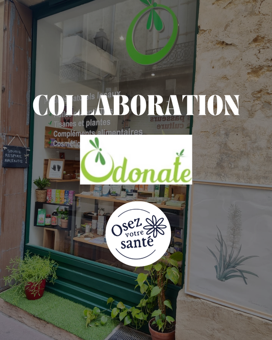Pourquoi j’ai créé Odonate, ma boutique de produits naturels en Occitanie