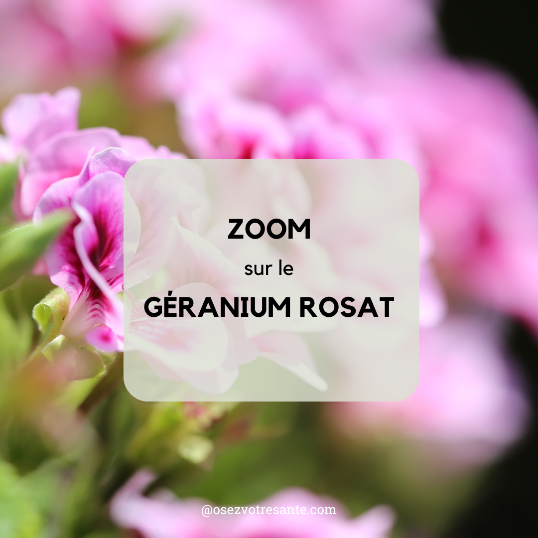 Les bienfaits inestimables du géranium rosat