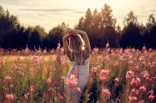 SPM : complément alimentaire naturel pour l’équilibre hormonal femme