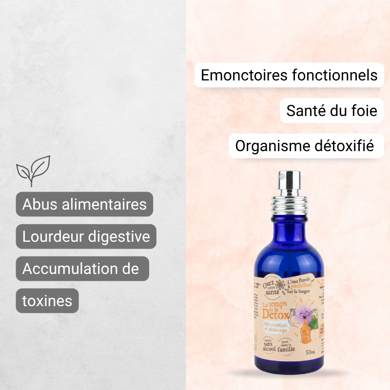 Utilisation du spray sublingual détox pour stimuler le drainage hépatobiliaire et améliorer la légèreté digestive.